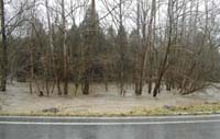 Blacksburg Flood - Feb-2003