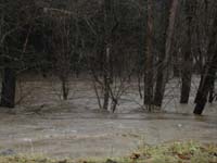 Blacksburg Flood - Feb-2003